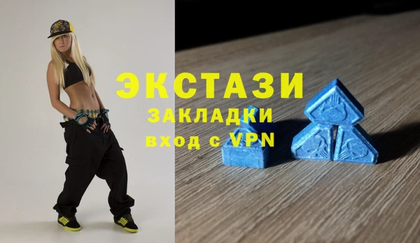 крисы Богородицк