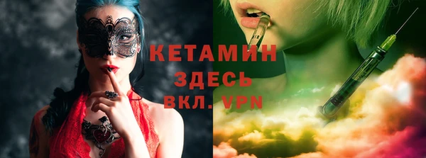 крисы Богородицк