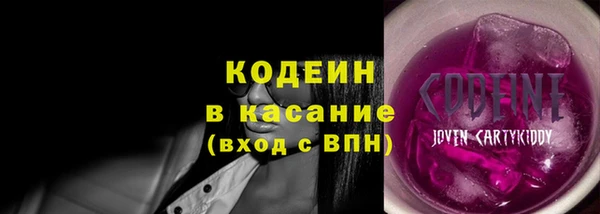 крисы Богородицк