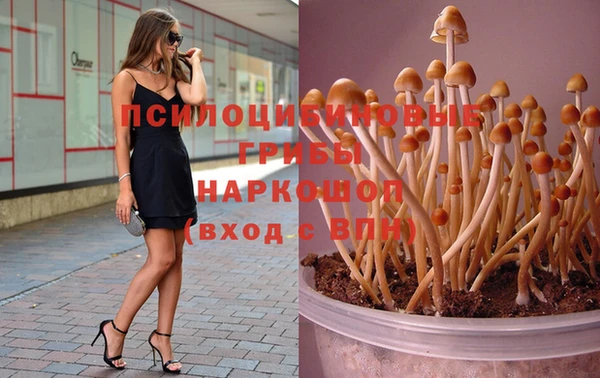 крисы Богородицк