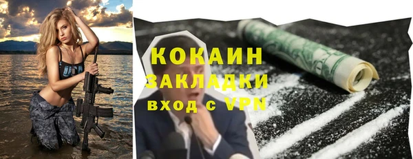 крисы Богородицк